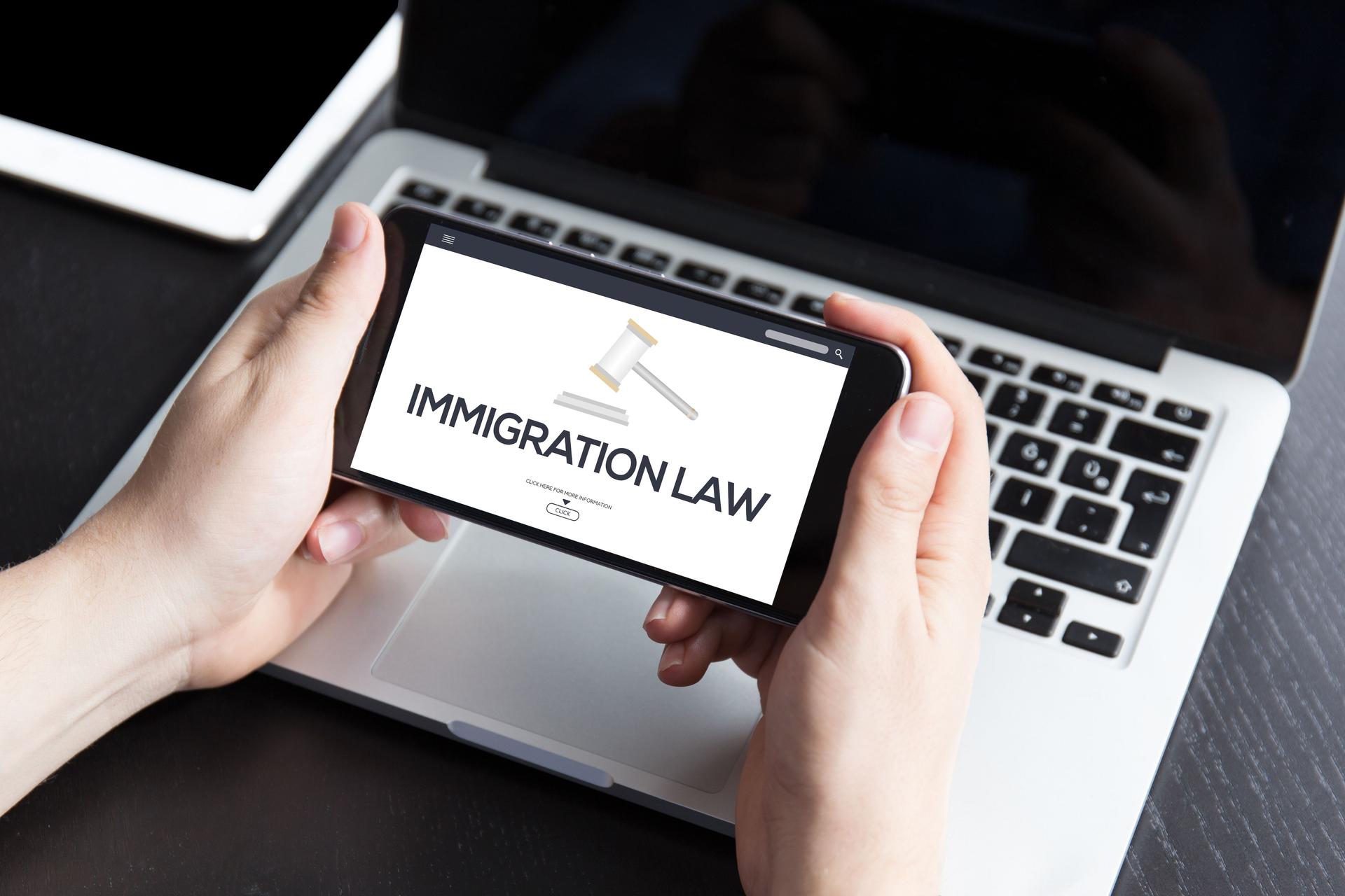 IMMIGRATION LAW CONCEPT
